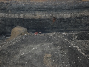 <b>Caption:</b>  <a target="_blank" rel="nofollow noreferrer noopener" class="external text" href="https://ilstratwiki.web.illinois.edu/index.php/2660">Herrin Coal</a> at the S Coal surface mine near Elkville, IL. Herrin coal at the base of the highwall ‘splits’ or separates apart both to the right and left from a central intact portion, with Energy shale intercalated between the upper and lower coal benches. Coal splits that are found close to penecontemporaneous river channels, such as this example near the Walshville paleochannel, are likely formed by erosion at the channel margins that creates peat flaps that float, followed by sediment deposition infilling below the flaps, and on top.<br><b>Date:</b>  November 19, 2009<br>