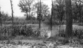 M-1036 Gartside Mine Murphysboro sink low land pillar pulling.jpg