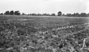 <b>Caption:</b>  North-West of shaft, 800 feet across by 3 feet deep with some water<br><b>Credit:</b>  Illinois State Geological Survey<br><b>Library No.:</b>  M-965