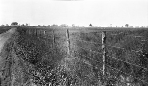 <b>Caption:</b>  Sag--quarter mile long--fence shows sag of about 2 feet<br><b>Credit:</b>  Illinois State Geological Survey<br><b>Library No.:</b>  M-963