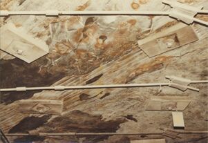 <b>Caption:</b>  One of many flat-lying fossil logs in the immediate roof.<br><b>Date:</b>  07/29/1984<br>
