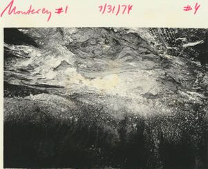 <b>Caption:</b>  "Crossbedding of coal laminae in gray shale, fall along slip"<br><b>Date:</b>  07/31/1974<br>