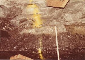 <b>Caption:</b>  Septarian concretions in gray silty mudstone above the Herrin Coal<br><b>Date:</b>  07/29/1984<br>