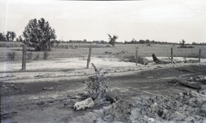 <b>Caption:</b>  Ash filled road washed away.<br><b>Credit:</b>  Illinois State Geological Survey<br><b>Library No.:</b>  M-938