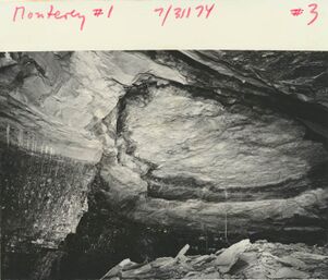 <b>Caption:</b>  Roof fall, where Energy Shale above coal (many plants in shale) above Energy Shale very thin Anna Shale and "pot" of Brereton Limestone.<br><b>Date:</b>  07/31/1974<br>