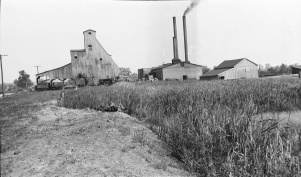 <b>Caption:</b>  Swamp in a typical sag in Randolph County where a 6 foot coal is being mined at depth of 150 feet. The rooms are on 50 foot centers; pillars 18 feet.<br><b>Credit:</b>  Illinois State Geological Survey<br><b>Date:</b>  Pre-1914<br><b>Publication:</b>  Fig. 27 Cooperative Bulletin 17 – Subsidence in Illinois<br><b>Library No.:</b>  M-826