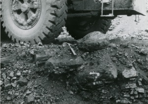 <b>Caption:</b>  Coalballs in Pit 14<br><b>Credit:</b>  Phillips Coal Ball Collection<br><b>Date:</b>  05/06/1972<br>