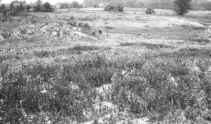 <b>Caption:</b>  Subsidence in hilly area--mound (left foreground) over pillar.<br><b>Credit:</b>  Illinois State Geological Survey<br><b>Library No.:</b>  M-960