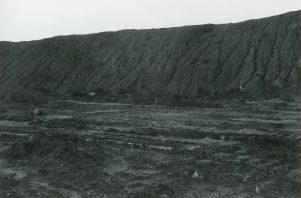 <b>Caption:</b>  Stockpile in Pit 11 (coalballs from Pit 14)<br><b>Credit:</b>  Phillips Coal Ball Collection<br><b>Date:</b>  09/18/1972<br>