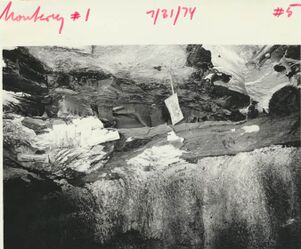 <b>Caption:</b>  Energy Shale pinching out towards the south, rather thin (2 ft) Anna Shale above and thin Brereton Limestone; fall along slip.<br><b>Date:</b>  07/31/1974<br>