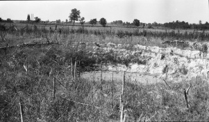 <b>Caption:</b>  Breaks in field south of O'Gara No. 7<br><b>Credit:</b>  Illinois State Geological Survey<br><b>Library No.:</b>  M-969